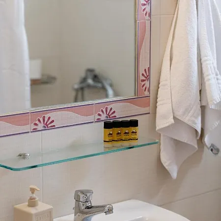 公寓 雅尼公寓酒店 *