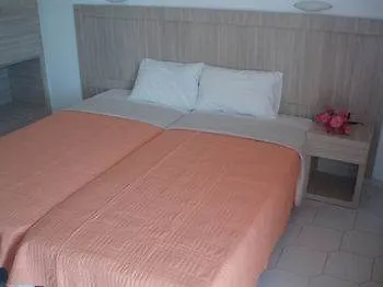 雅尼公寓酒店 *