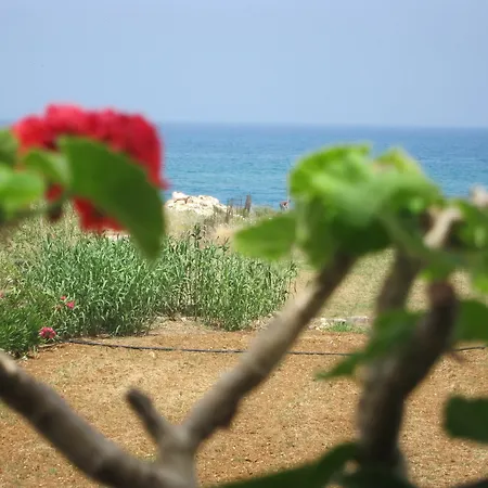 公寓 雅尼公寓酒店 阿德里安诺斯·坎波斯