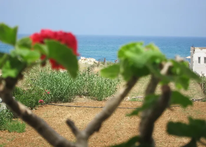 Апартаменты Yiannis Аделианос Кампос